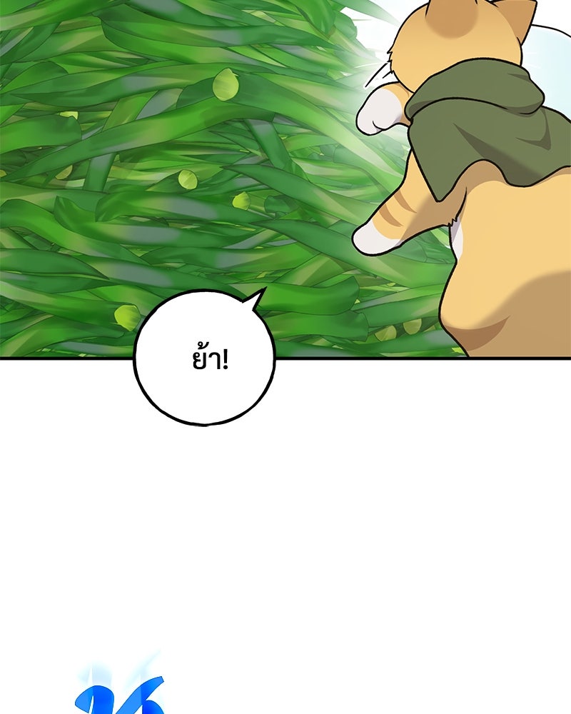 ปลูกผักพิชิตหอคอย - หน้า 116