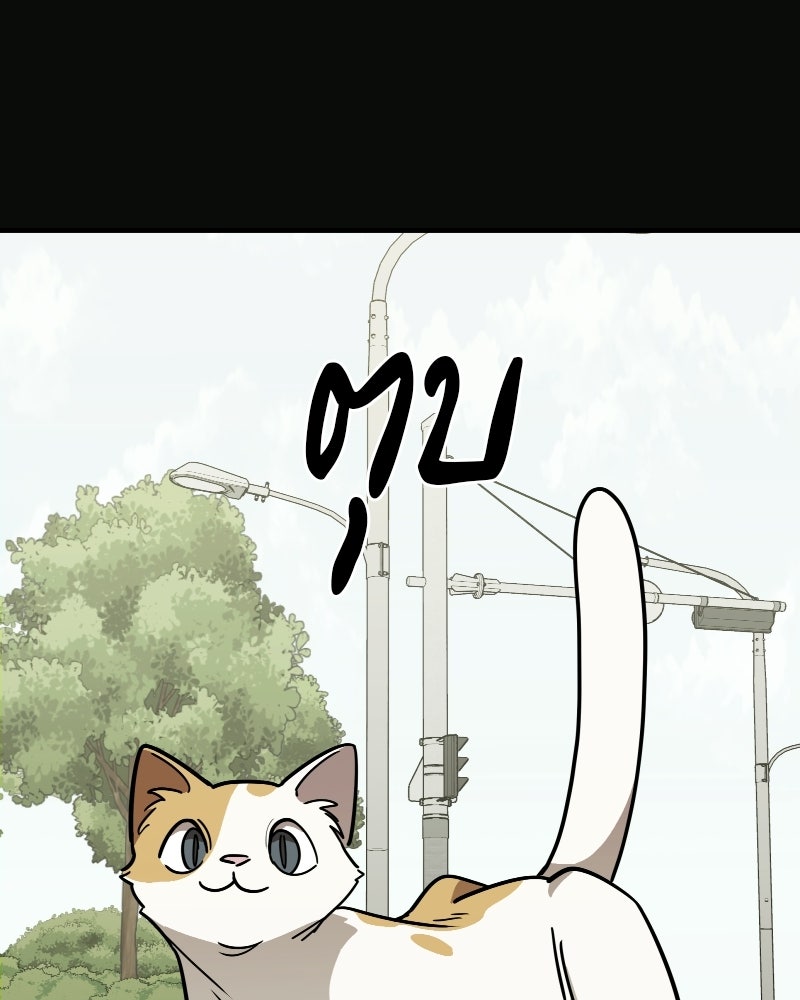 Cute War สงครามปราบแบ๊ว - หน้า 47