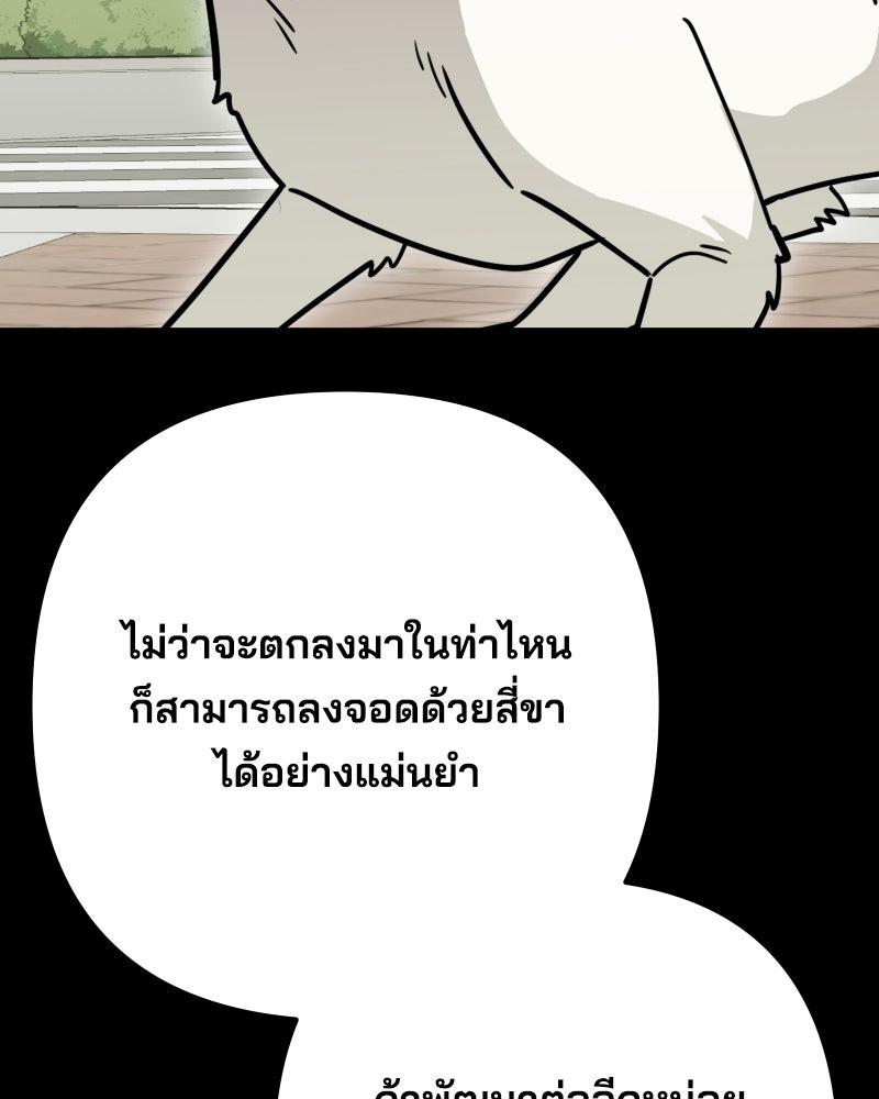 Cute War สงครามปราบแบ๊ว - หน้า 53