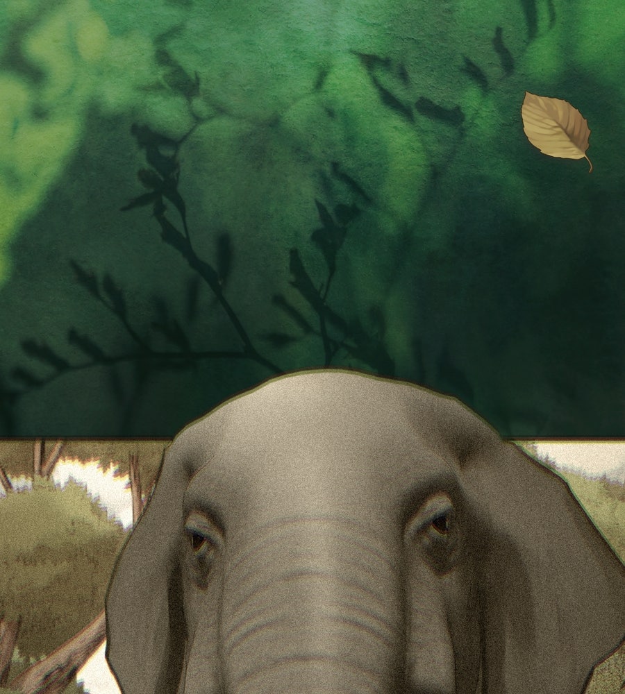 อรัญรักษ์Wild Protectress - หน้า 39