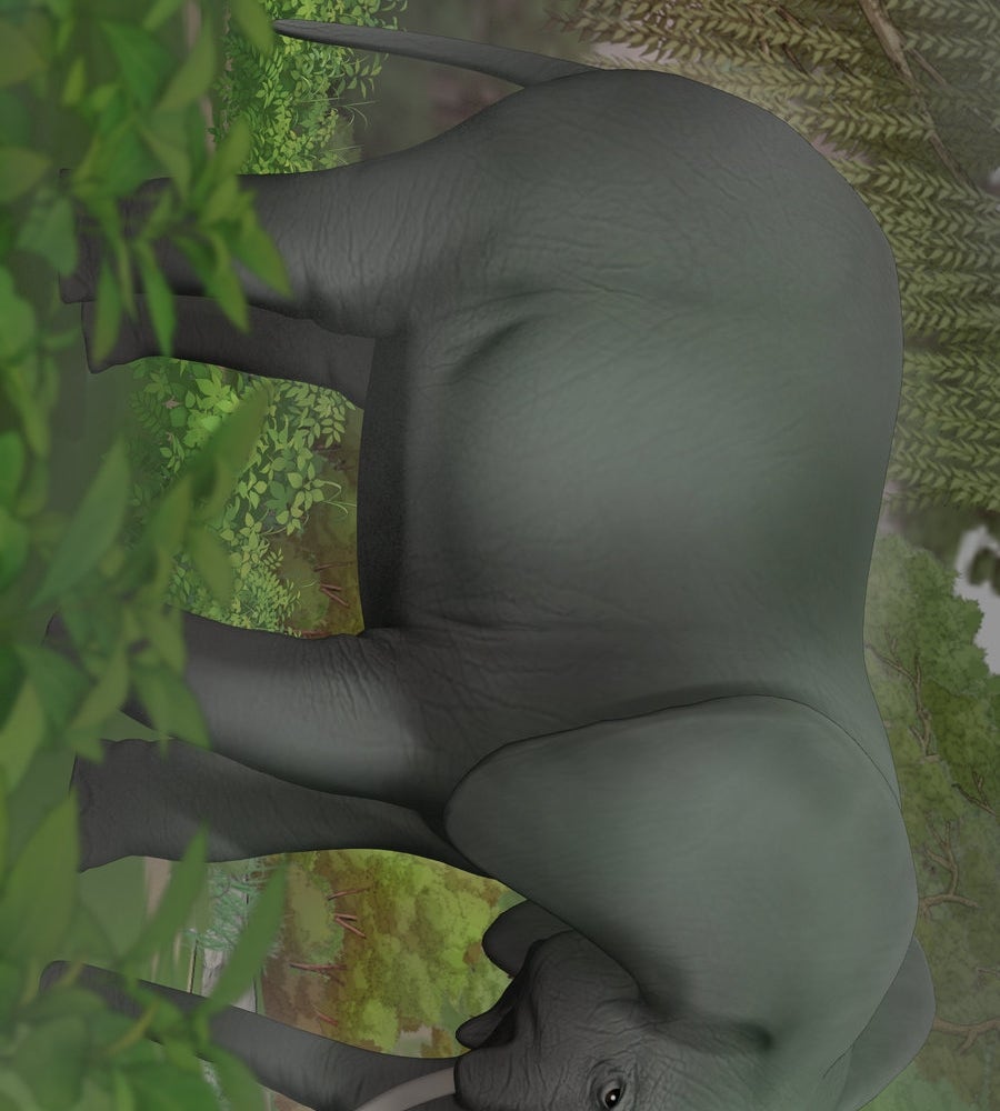 อรัญรักษ์Wild Protectress - หน้า 119