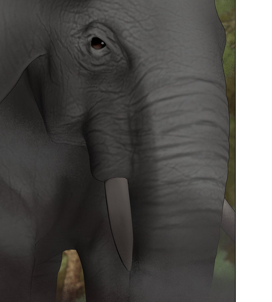 อรัญรักษ์Wild Protectress - หน้า 65