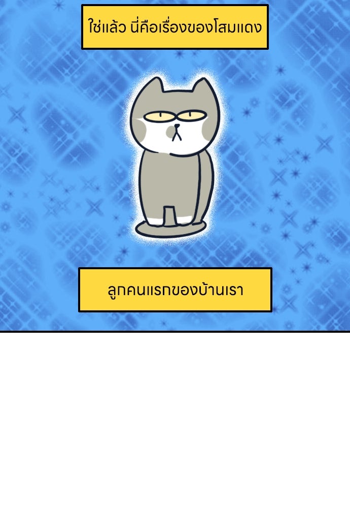 เจ้าสาวมันฝรั่ง - หน้า 6