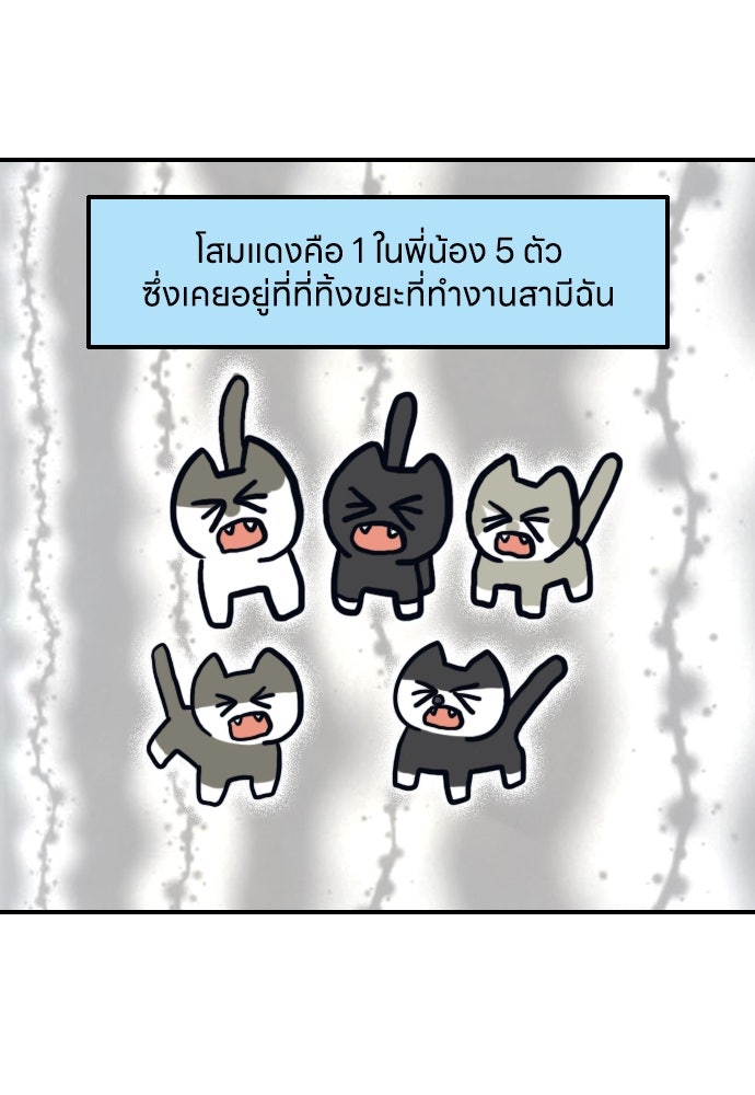 เจ้าสาวมันฝรั่ง - หน้า 7