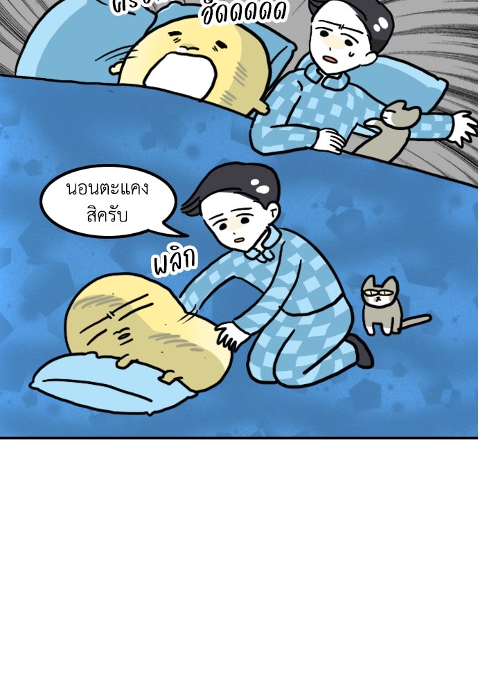 เจ้าสาวมันฝรั่ง - หน้า 19