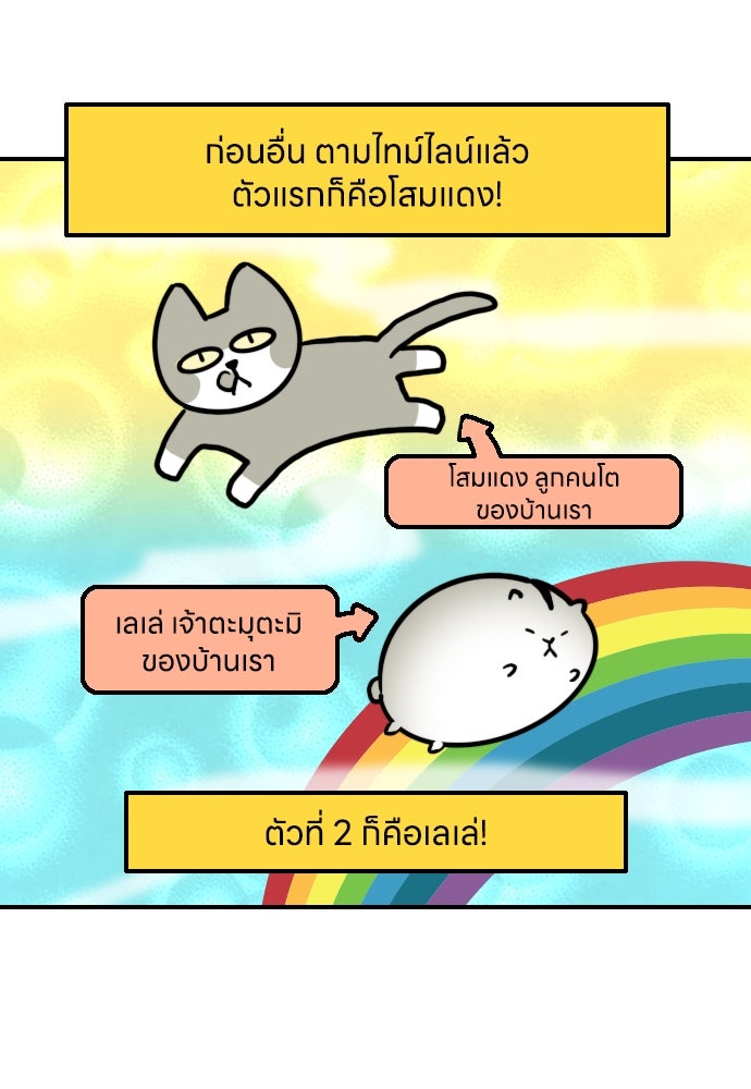 เจ้าสาวมันฝรั่ง - หน้า 7