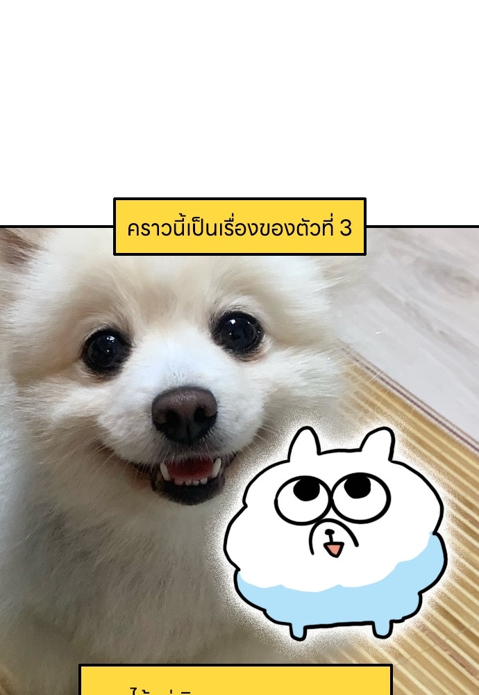 เจ้าสาวมันฝรั่ง - หน้า 8