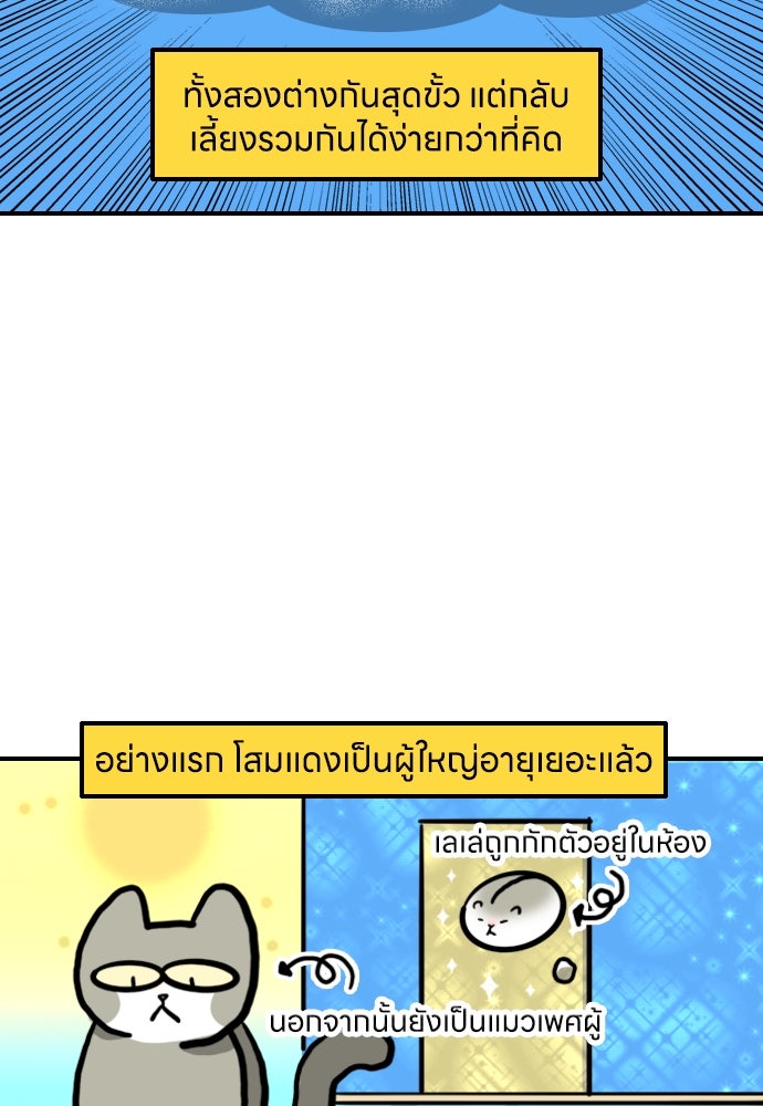 เจ้าสาวมันฝรั่ง - หน้า 10
