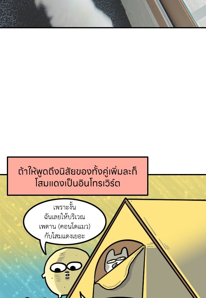 เจ้าสาวมันฝรั่ง - หน้า 16