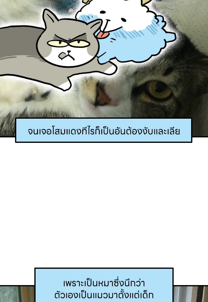 เจ้าสาวมันฝรั่ง - หน้า 18