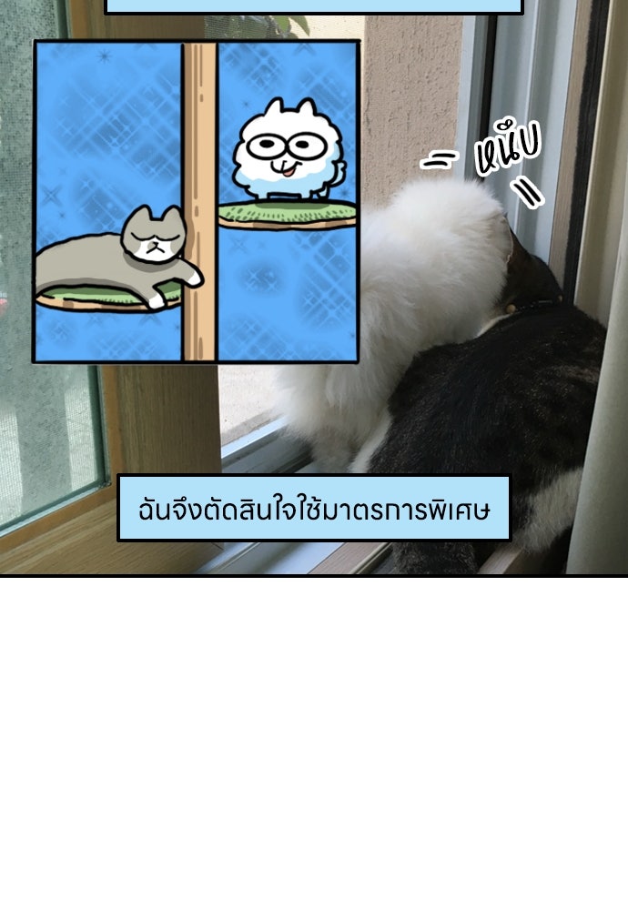 เจ้าสาวมันฝรั่ง - หน้า 19