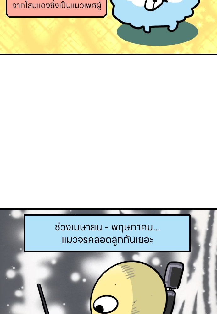 เจ้าสาวมันฝรั่ง - หน้า 23