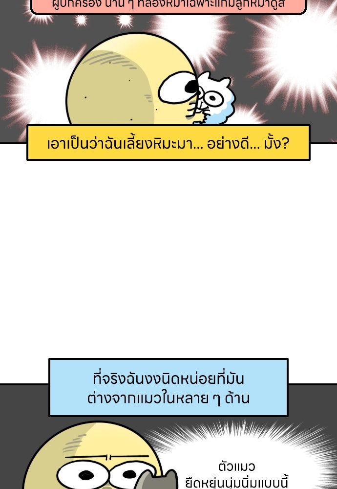 เจ้าสาวมันฝรั่ง - หน้า 4