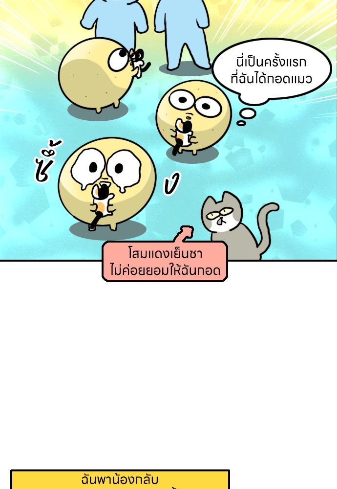 เจ้าสาวมันฝรั่ง - หน้า 25