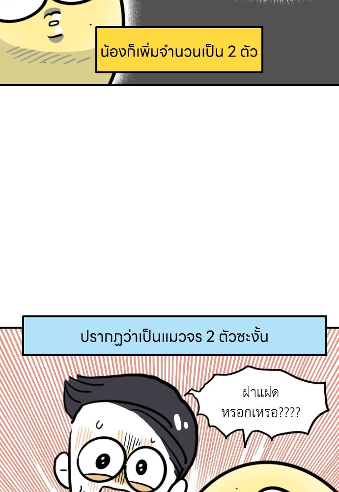 เจ้าสาวมันฝรั่ง - หน้า 23