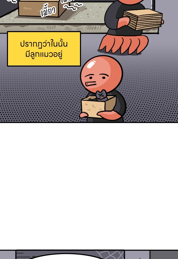 เจ้าสาวมันฝรั่ง - หน้า 5