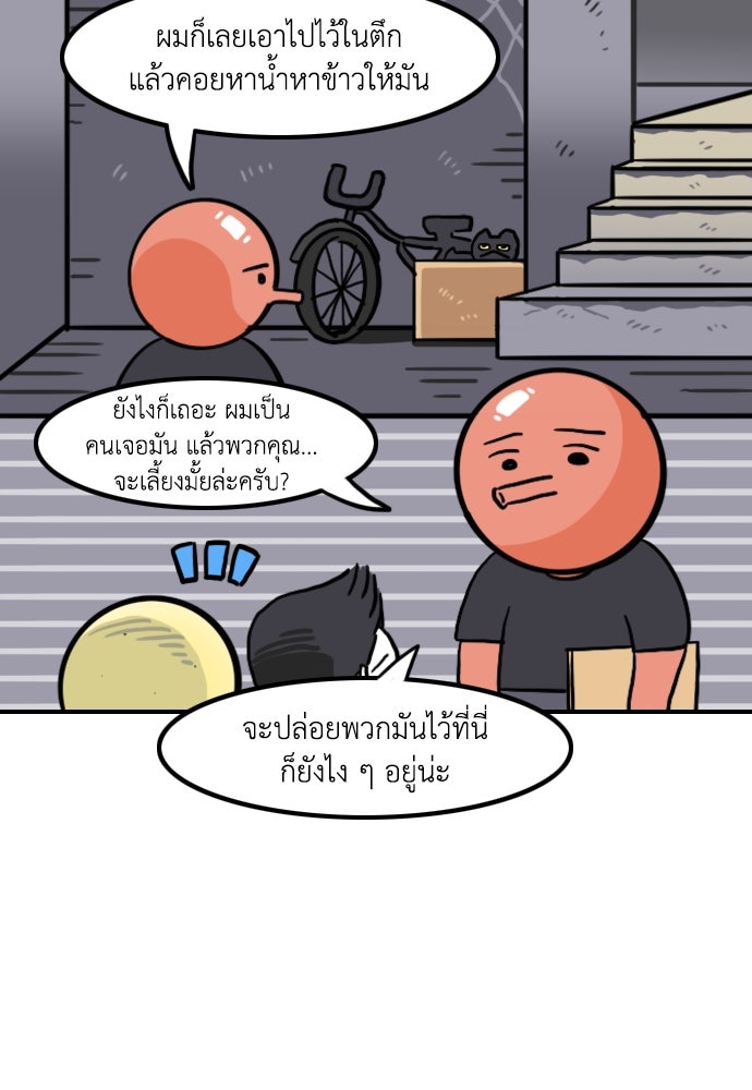 เจ้าสาวมันฝรั่ง - หน้า 6