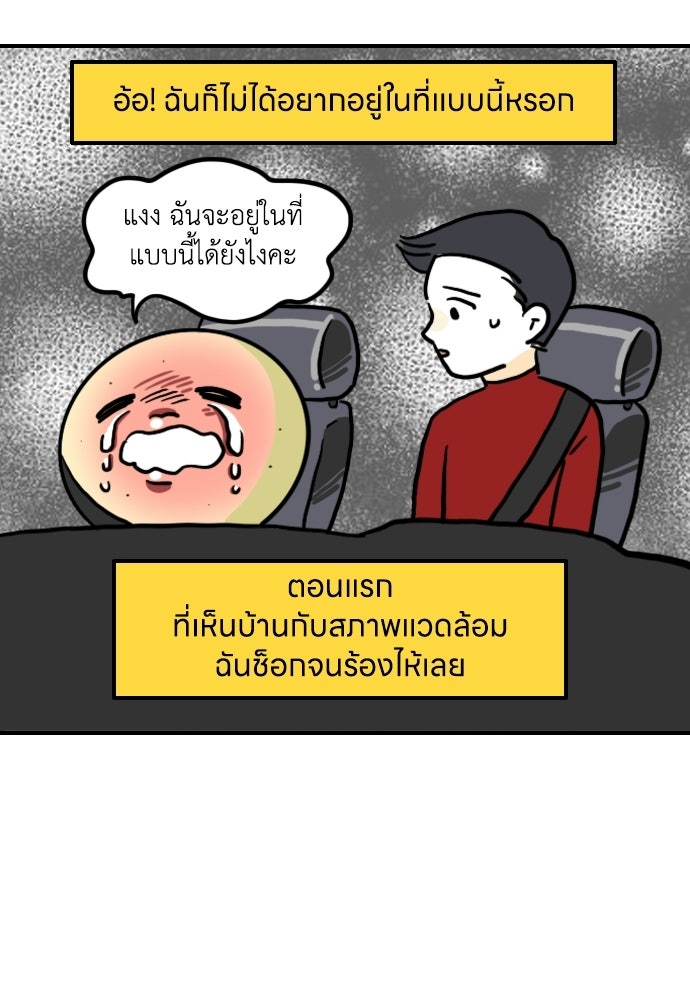 เจ้าสาวมันฝรั่ง - หน้า 13
