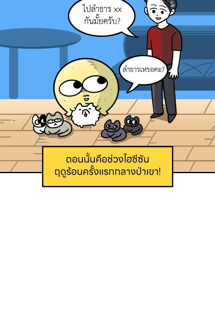 เจ้าสาวมันฝรั่ง - หน้า 12