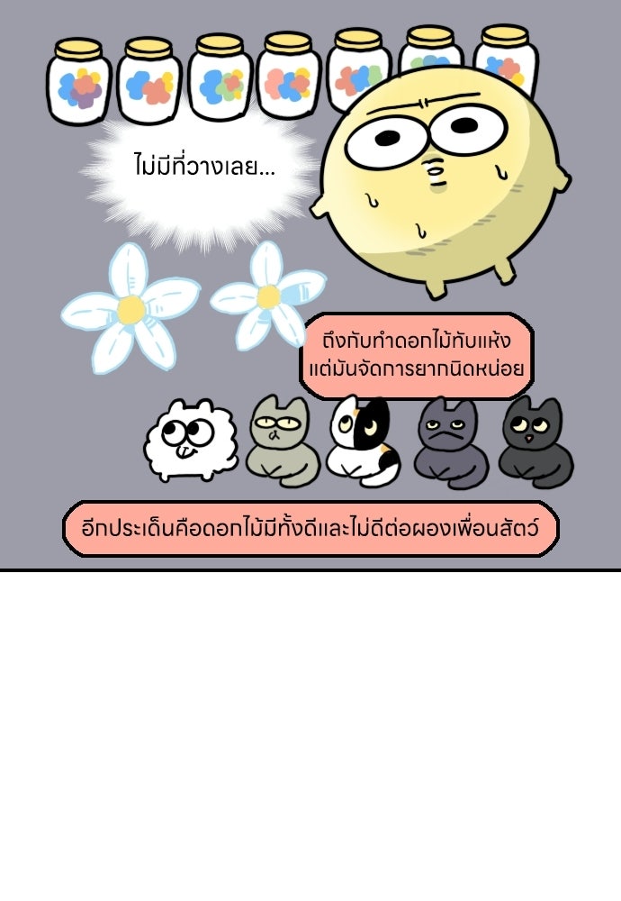 เจ้าสาวมันฝรั่ง - หน้า 19