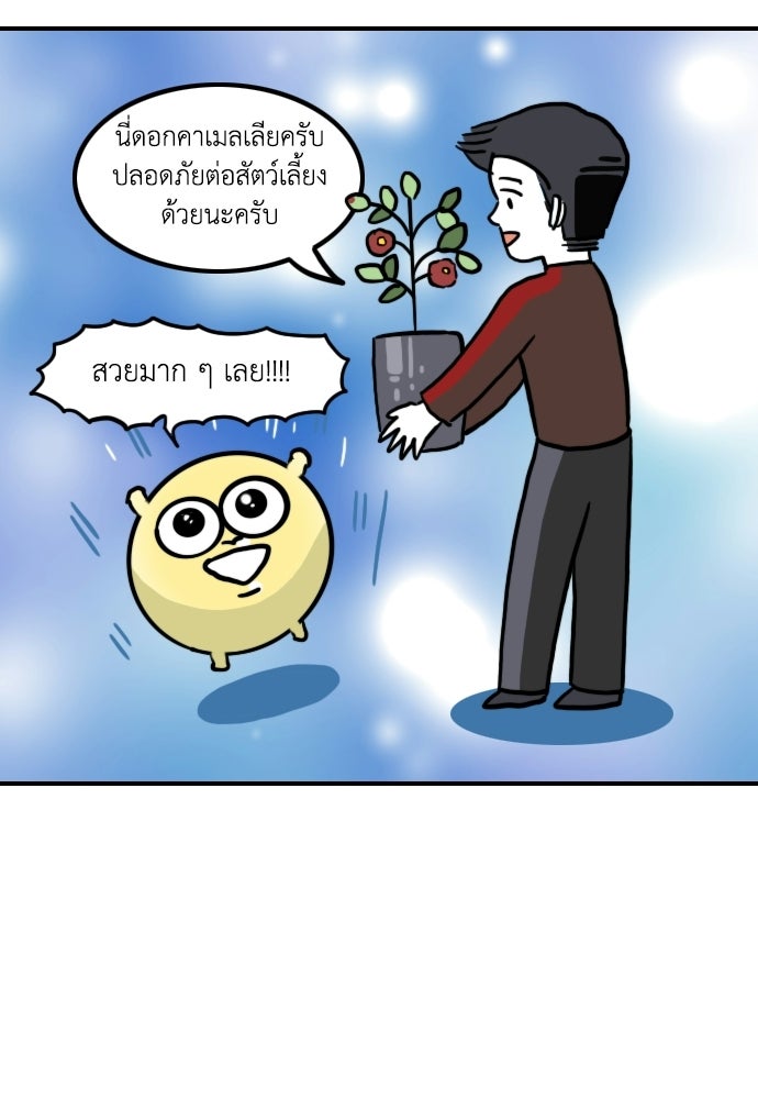 เจ้าสาวมันฝรั่ง - หน้า 26