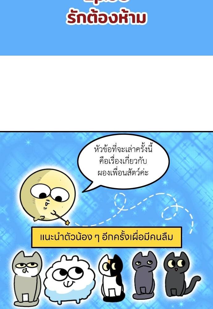 เจ้าสาวมันฝรั่ง - หน้า 2