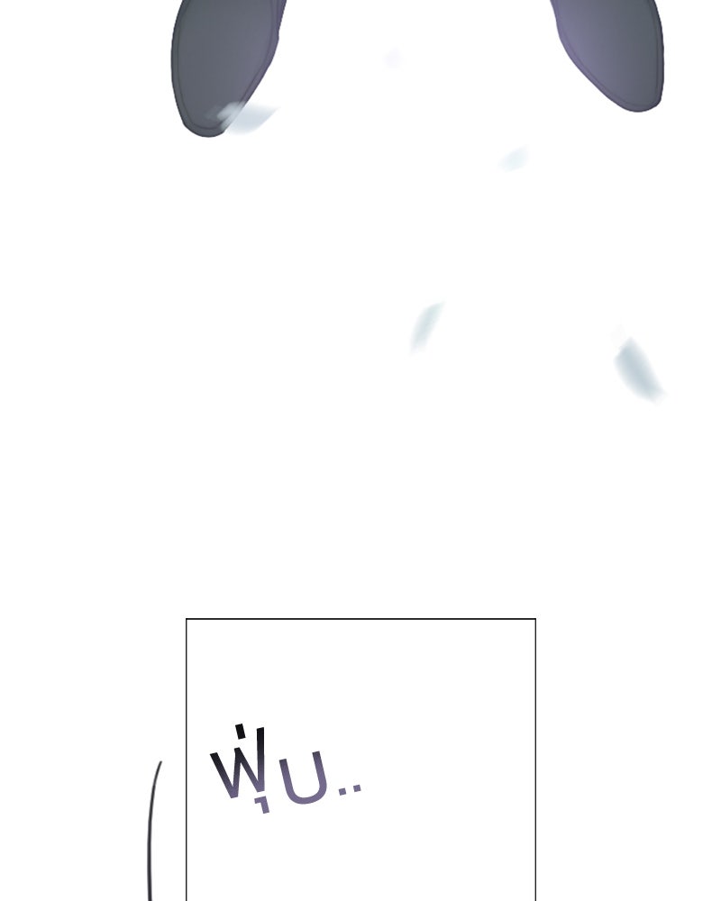 เซเรน่า - หน้า 44
