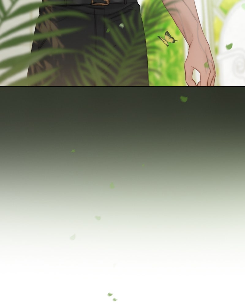 เซเรน่า - หน้า 12