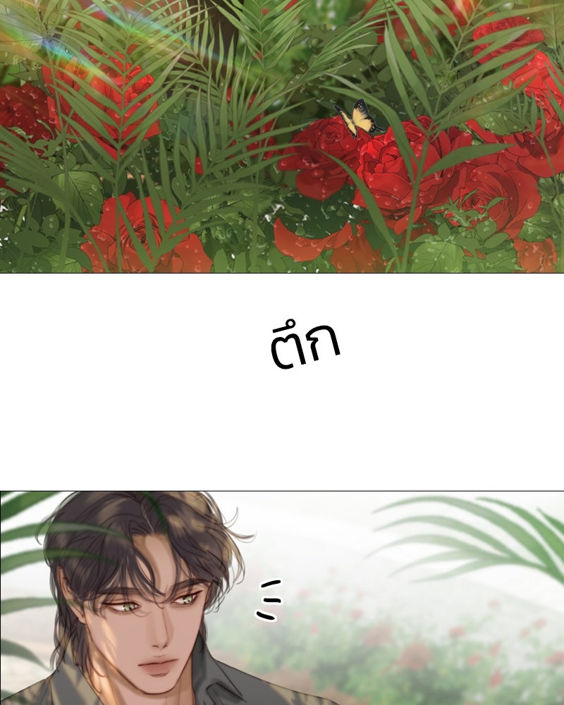 เซเรน่า - หน้า 4