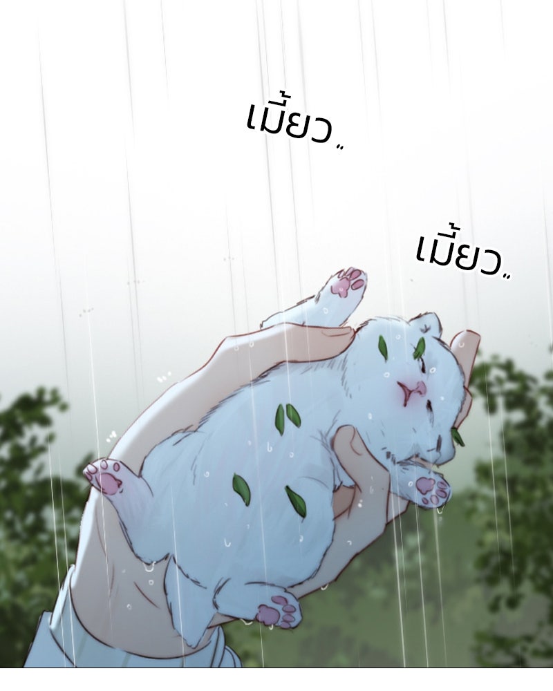 เซเรน่า - หน้า 12