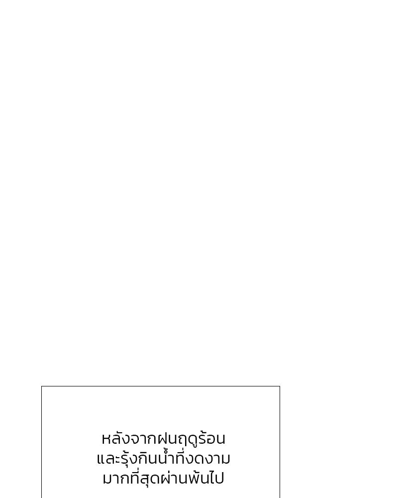 เซเรน่า - หน้า 1
