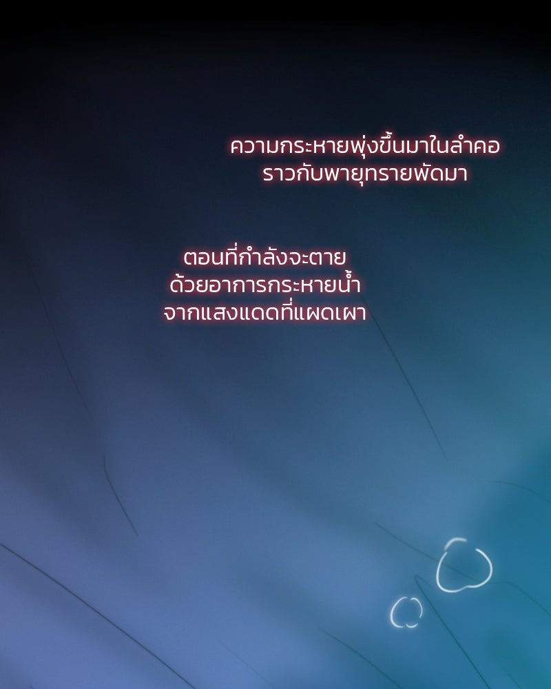 เซเรน่า - หน้า 42