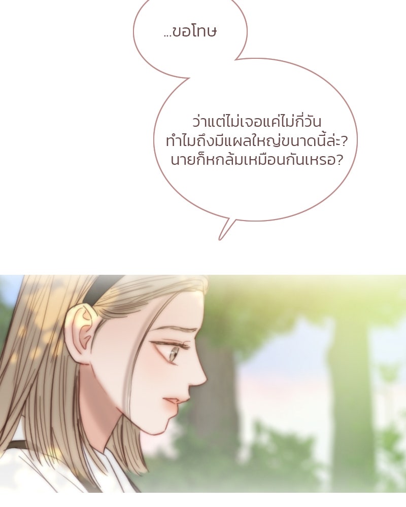 เซเรน่า - หน้า 41