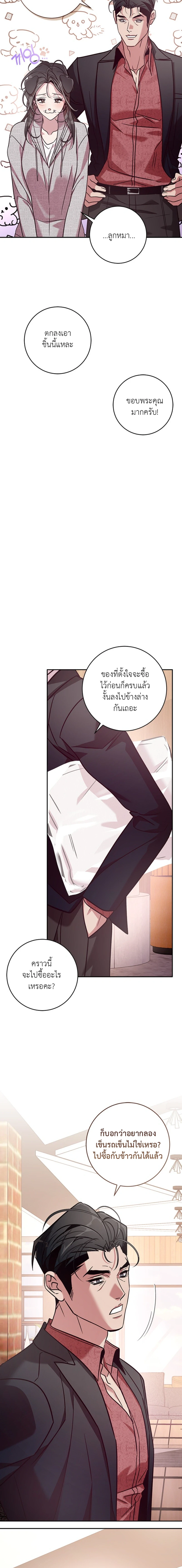 You Call This a ‘Perfect’ Housewife?! ไอ้แบบนี้เนี่ยนะคือแม่บ้านหอยขม - หน้า 2