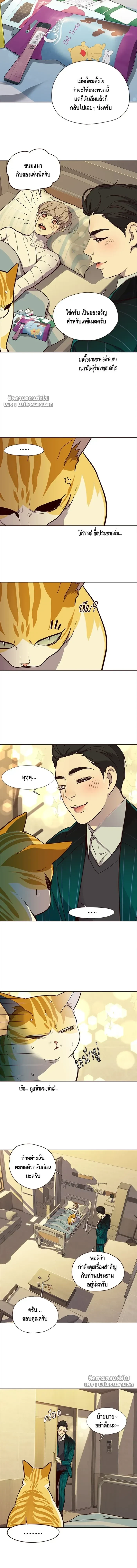 Eleceed - อีลีซีด - หน้า 6
