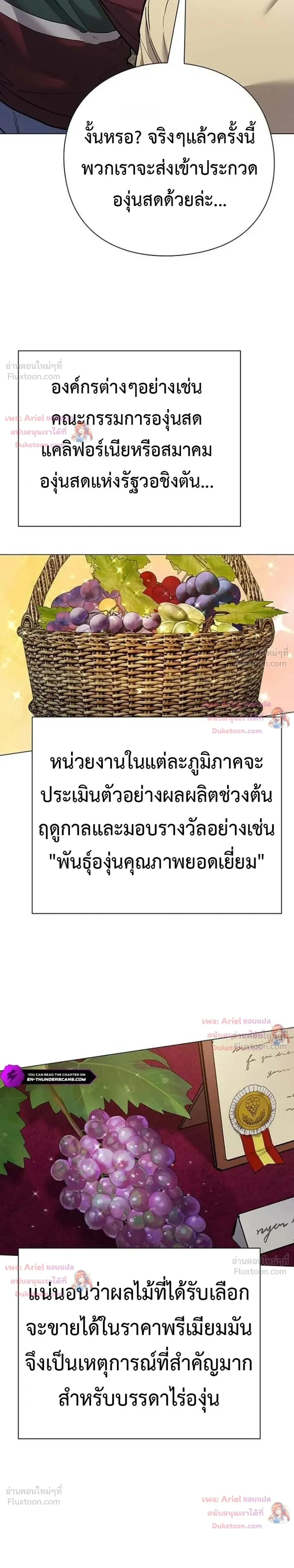 God of Wine - เทพแห่งไวน์ - หน้า 29