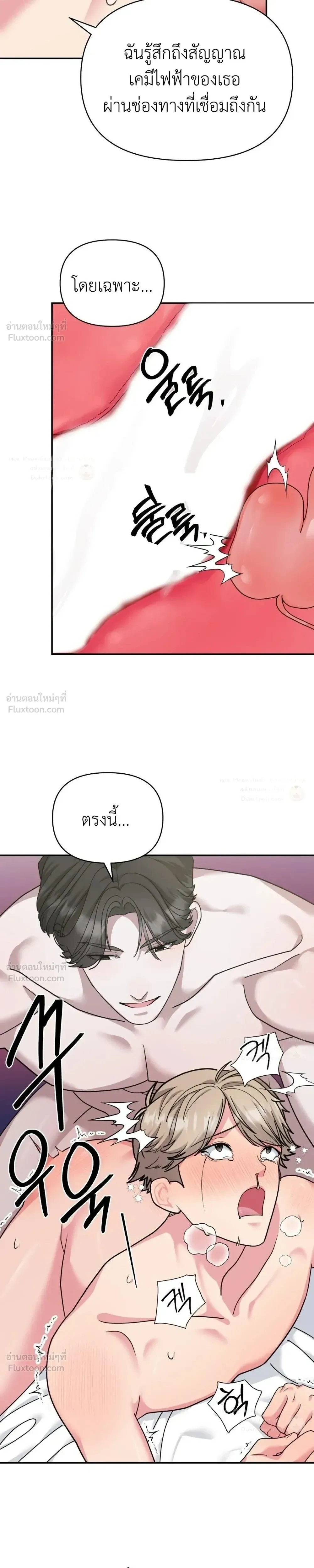 The Reason I Stay - เหตุผลที่ฉันยังคงอยู่ - หน้า 3
