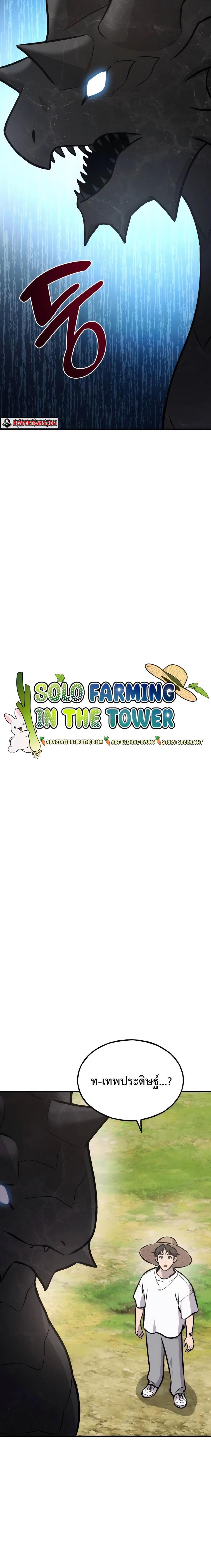Solo Farming In The Tower - หน้า 2