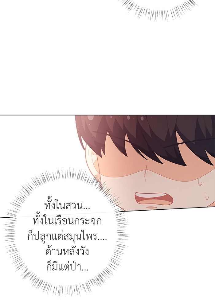ชีวิตใหม่ของยัยเลดี้ตัวประกอบ - หน้า 3