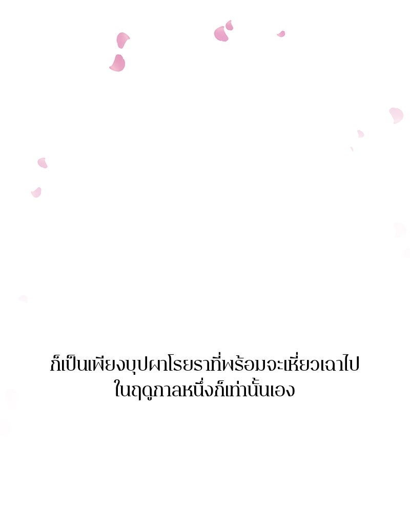 ตำนานเทพธิดาตกสวรรค์ - หน้า 137