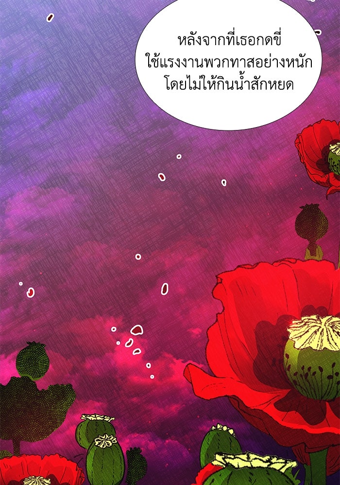 ฟิลเลียโรเซ่กับคำทำนายแห่งมงกุฎหนาม - หน้า 2