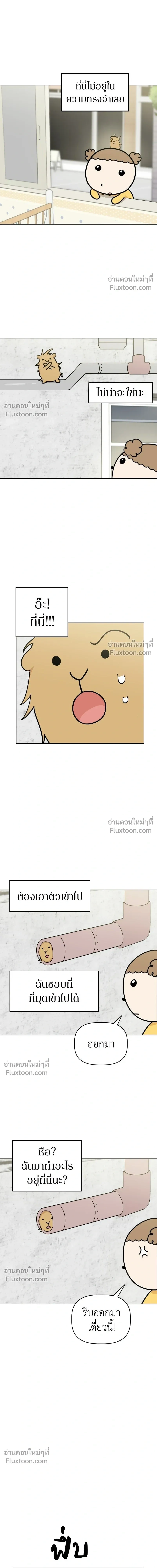 Maru is a Puppy - น้องสี่ขาเจ้ามารุ - หน้า 10