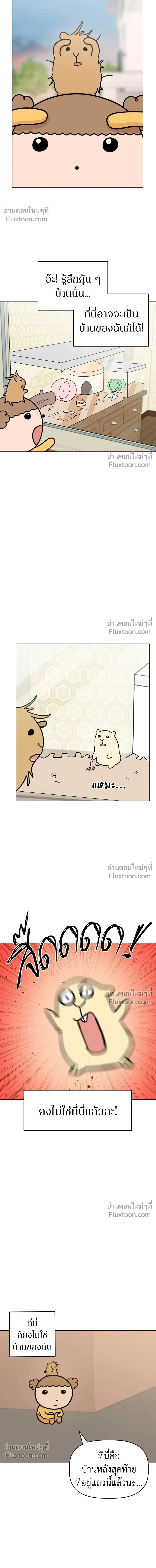 Maru is a Puppy - น้องสี่ขาเจ้ามารุ - หน้า 11