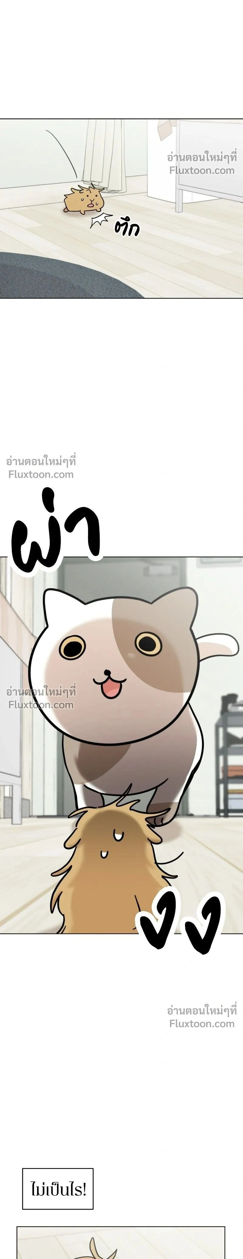 Maru is a Puppy - น้องสี่ขาเจ้ามารุ - หน้า 2