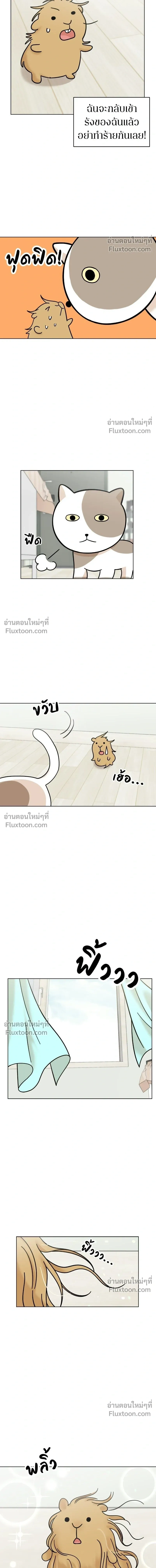 Maru is a Puppy - น้องสี่ขาเจ้ามารุ - หน้า 3