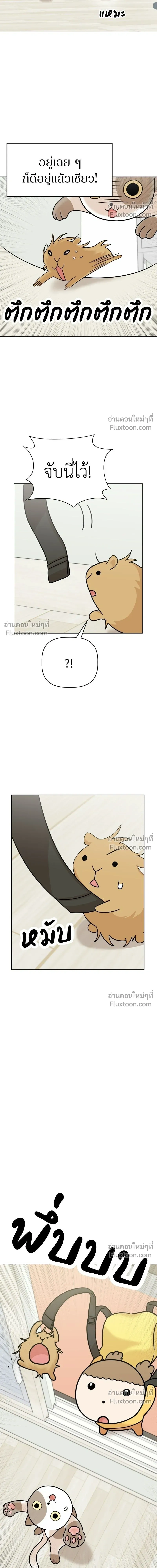 Maru is a Puppy - น้องสี่ขาเจ้ามารุ - หน้า 6