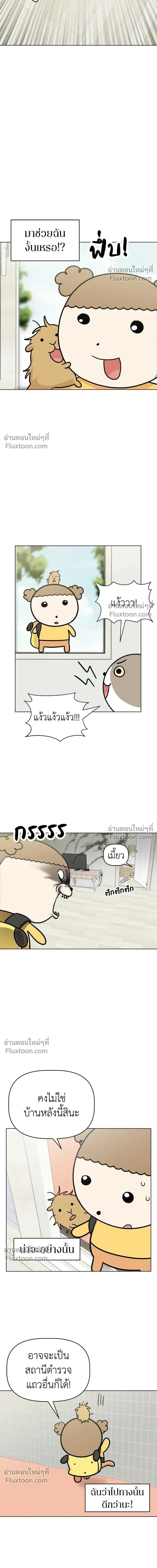 Maru is a Puppy - น้องสี่ขาเจ้ามารุ - หน้า 7