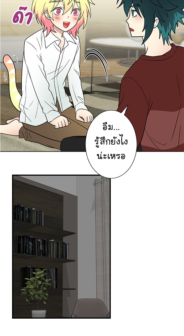 Gimme your loveมาตกหลุมรักฉันซะดีดี - หน้า 41