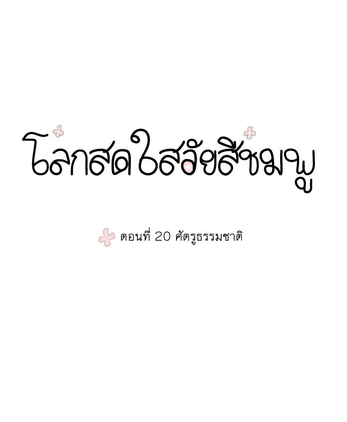 โลกสดใสวัยสีชมพู - หน้า 1
