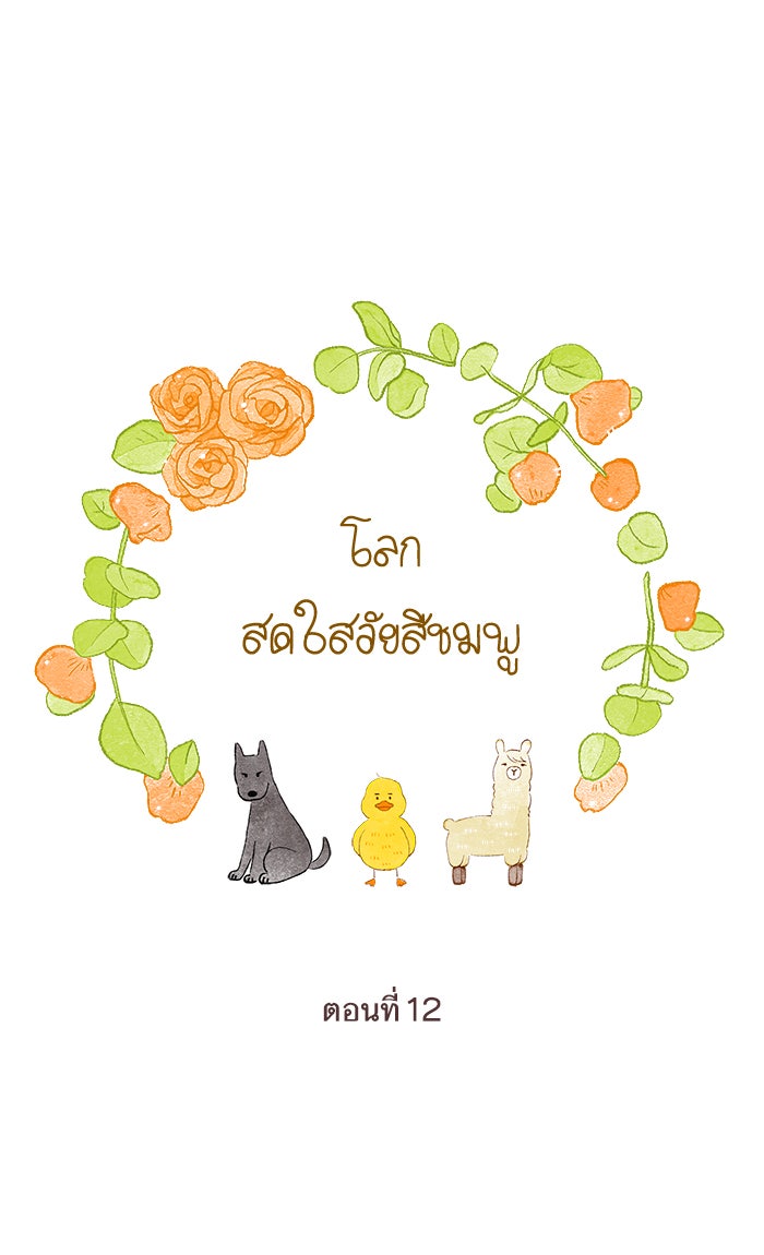 โลกสดใสวัยสีชมพู - หน้า 12